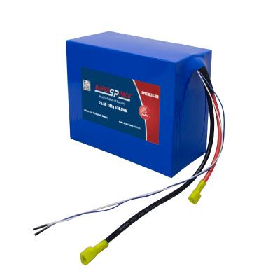 24V 20Ah LiFePO4バッテリーパック